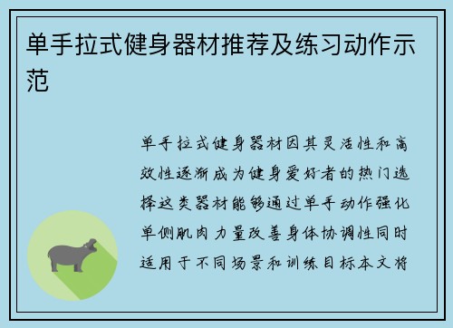 单手拉式健身器材推荐及练习动作示范