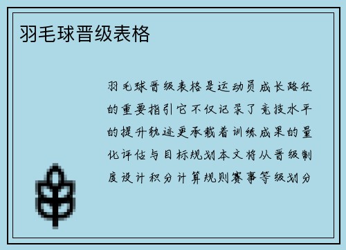 羽毛球晋级表格